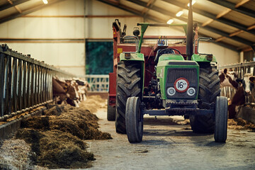 Farm, machine and old tractor in barn with dirt, rust and dust in storage warehouse on land....