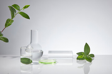 Blank glass pedestal placed in center surrounded by some glassware in experiment and fresh green tea ingredient, over white background. Space for displaying and adding text