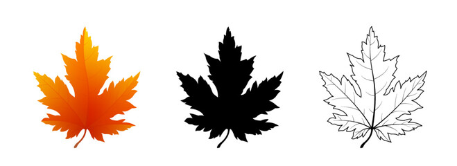 Set of maple leaves icons isolated on white background. Bright autumn red maple leaf, black silhouette and outline. Vector illustration