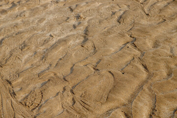 a low tide mark on the sand
