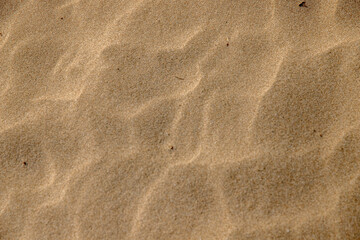 sand under the sea