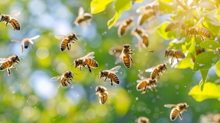 Swarm Bees The Forest Close
