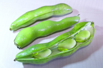 家庭菜園で収穫された整列したそら豆