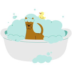 Pet Grooming single 18 cute on a white background, vector illustration.