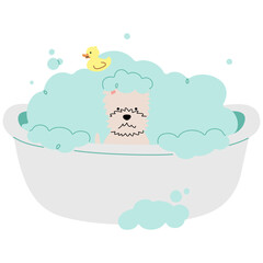 Pet Grooming single 20 cute on a white background, vector illustration.