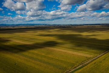 Obraz premium Aerial photography of farmland light and shadow in Sanjiang Plain, Heilongjiang Province