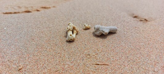 rocks on the beach with pink sand