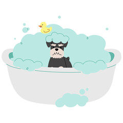 Naklejka premium Pet Grooming single 16 cute, png illustration.