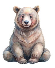 Fototapeta premium friendly grizzly bear standing sitting looking camera paws raised brown transparent backgrounds