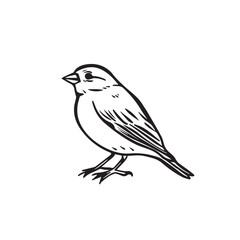 Finch in cartoon, doodle style. Image for t-shirt, web, mobile apps and ui. Isolated 2d vector illustration in logo, icon, sketch style, Eps 10. AI Generative