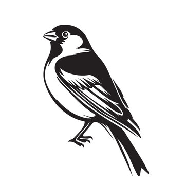 recommend clip art: Finch in cartoon, doodle style. Image for t-shirt, web, mobile apps and ui. Isolated 2d vector illustration in logo, icon, sketch style, Eps 10. AI Generative
