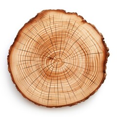 Obraz premium Closeup of a wooden cut texture, isolated on white, Ai Generated