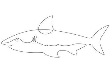  One continuous single line art drawing of shark sea fish underwater outline vector minimalist illustration
