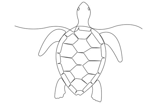 recommend clip art: Continuous one line art drawing of sea turtle concept of outline vector minimalist illustration
                    