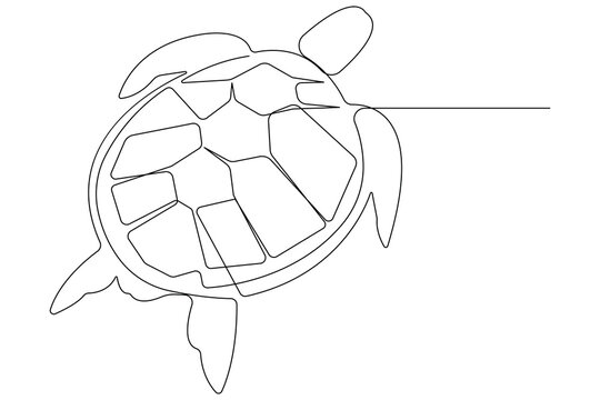 recommend clip art: Continuous one line art drawing of sea turtle concept of outline vector minimalist illustration
                    