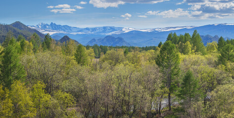Mountain valley on a spring sunny day, snow on the peaks and greenery	