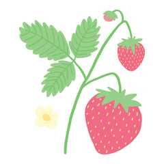 Vector illustration of ripe strawberries with green leaves on a white background, vibrant and fresh.