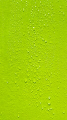 Closeup shot of water drops on a lime-green wall