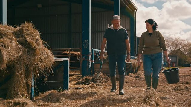 Male and female farm workers walking across yard past cattle barn at feeding time carrying bucket and pitchfork - shot in slow motion