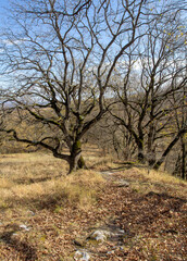 the beginning of autumn, walks through alpine meadows and slopes, panoramic views, the state of nature and relaxation in the mountains.