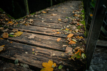 an old wooden walkway that is surrounded by leaves and plants