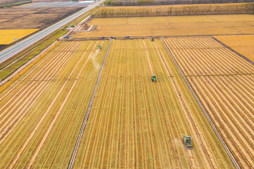 Aerial photography of a combine harvester harvesting rice
