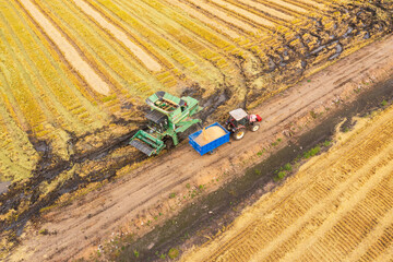 Aerial photography of a combine harvester harvesting rice