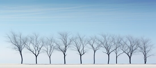 A copy space image of bare trees against a clear blue sky