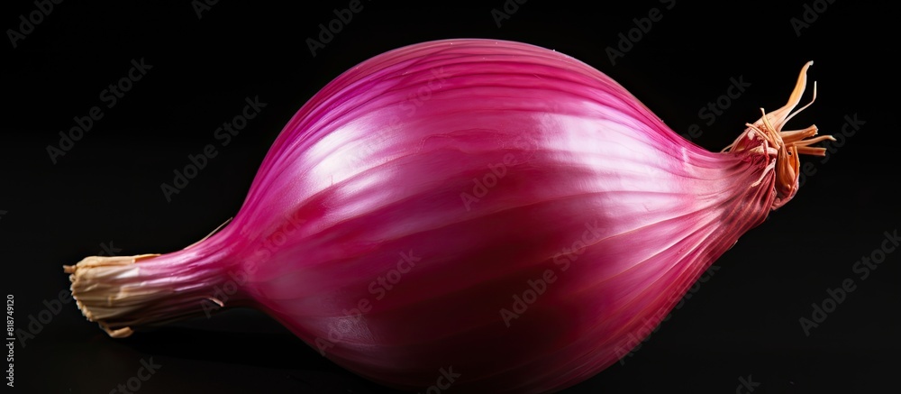 Poster A red onion with no background show on it so called a copy space image