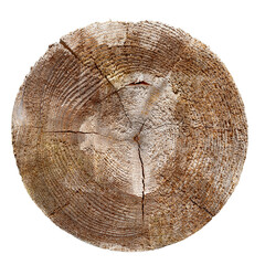 rondelle de bois naturel sur fond transparent