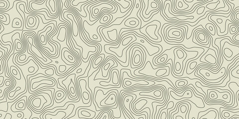 Modern topography-inspired line art with swirling abstract formations

