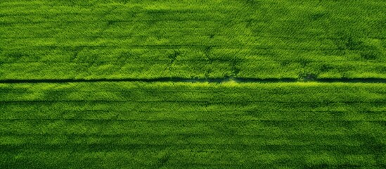 A top view of a vibrant green field that has been cultivated captured in a horizontal shot with ample copy space