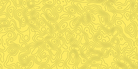 Fluid topographic pattern with detailed curving lines for abstract designs

