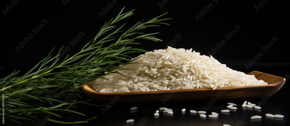Poster an isolated copy space image of rice set against a black background