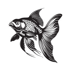 Goldfish Illustration Images. black and white Goldfish isolated on white