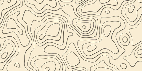 Fototapeta premium Abstract elevation-inspired texture with dynamic line flow and mapping