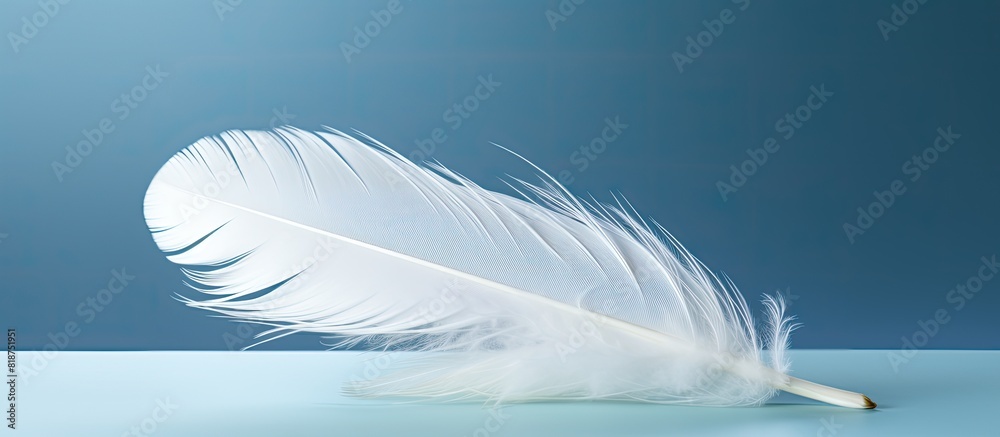 Aufkleber copy space image of a bird s white feather serving as a captivating backdrop