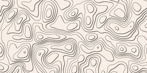 Obraz premium Artistic map concept with free-flowing contour patterns and organic lines