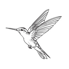 Obraz premium Hummingbird in cartoon, doodle style. Image for t-shirt, web, mobile apps and ui. Isolated 2d vector illustration in logo, icon, sketch style, Eps 10. AI Generative