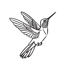Obraz premium Hummingbird in cartoon, doodle style. Image for t-shirt, web, mobile apps and ui. Isolated 2d vector illustration in logo, icon, sketch style, Eps 10. AI Generative