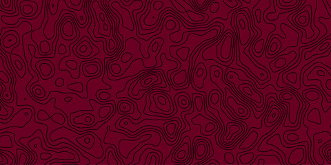 Complex continuous line design with elevation map aesthetic and depth

