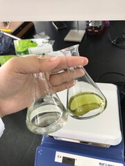 scientist working in laboratory