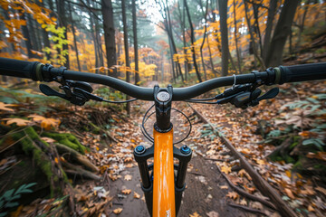 Exploring a trail in the forest on a mountain bike