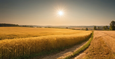 Wheat Fields on a Bright Sunny Day - Painting