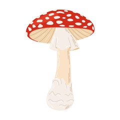Fly agaric red poison mushroom. Hand drawn Amanita muscaria. Hallucinogenic, psychedelic forest mushroom. Trendy flat style magic fungus isolated on white. Vector illustration