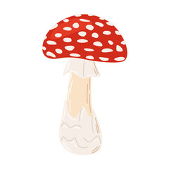 Fly agaric red poison mushroom. Hand drawn Amanita muscaria. Hallucinogenic, psychedelic forest mushroom. Trendy flat style magic fungus isolated on white. Vector illustration