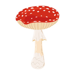 Fly agaric red poison mushroom. Hand drawn Amanita muscaria. Hallucinogenic, psychedelic forest mushroom. Trendy flat style magic fungus isolated on white. Vector illustration