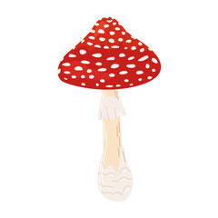 Fly agaric red poison mushroom. Hand drawn Amanita muscaria. Hallucinogenic, psychedelic forest mushroom. Trendy flat style magic fungus isolated on white. Vector illustration
