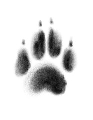 One dog paw print on white background, illustration © New Africa