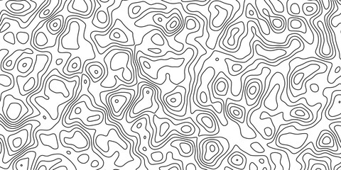 Decorative topographic illustration with smooth organic contour curves

